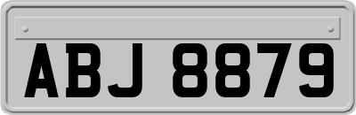 ABJ8879