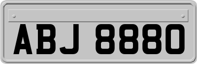 ABJ8880