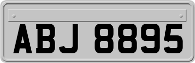 ABJ8895