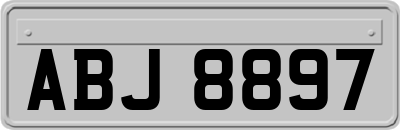 ABJ8897