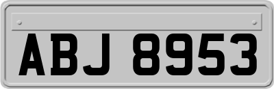 ABJ8953