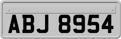 ABJ8954