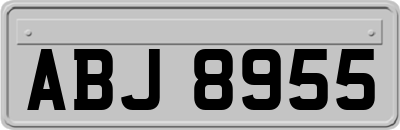 ABJ8955