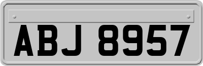 ABJ8957