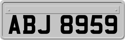 ABJ8959