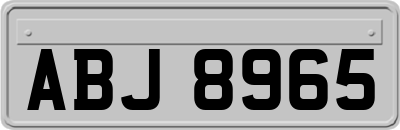 ABJ8965