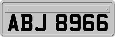 ABJ8966