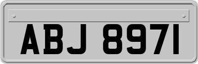 ABJ8971