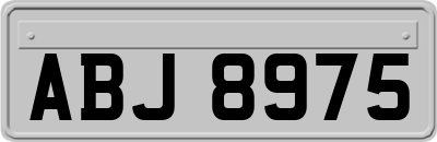 ABJ8975