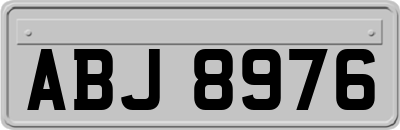 ABJ8976
