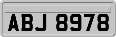 ABJ8978