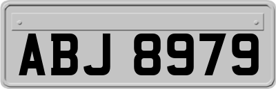 ABJ8979