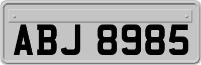 ABJ8985