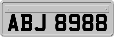 ABJ8988