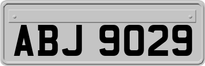 ABJ9029