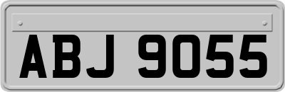 ABJ9055