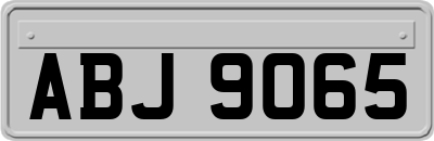 ABJ9065