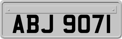 ABJ9071
