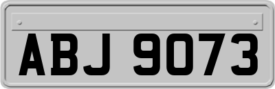 ABJ9073