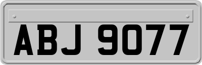 ABJ9077