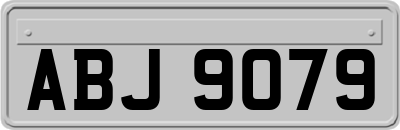 ABJ9079