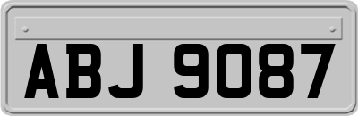 ABJ9087