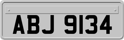 ABJ9134