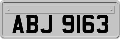 ABJ9163