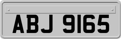 ABJ9165