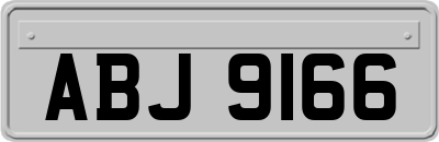 ABJ9166