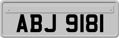 ABJ9181