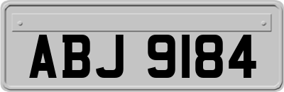 ABJ9184