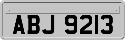 ABJ9213