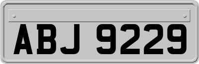 ABJ9229