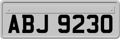 ABJ9230