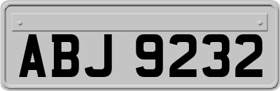 ABJ9232