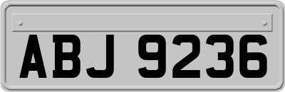 ABJ9236