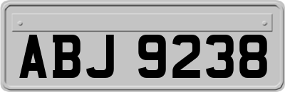 ABJ9238