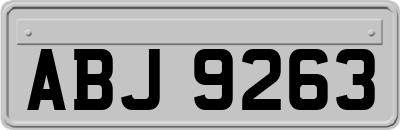 ABJ9263