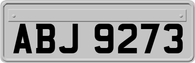 ABJ9273