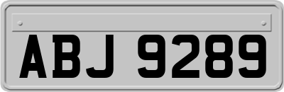 ABJ9289