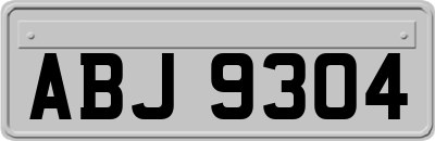 ABJ9304