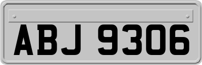 ABJ9306