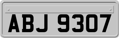 ABJ9307