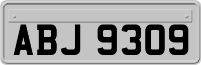 ABJ9309