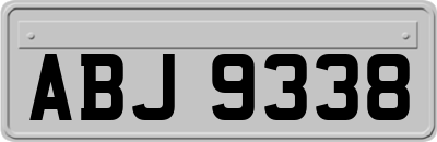 ABJ9338