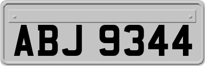 ABJ9344