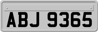 ABJ9365