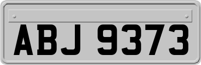 ABJ9373