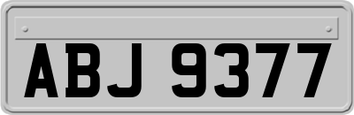 ABJ9377